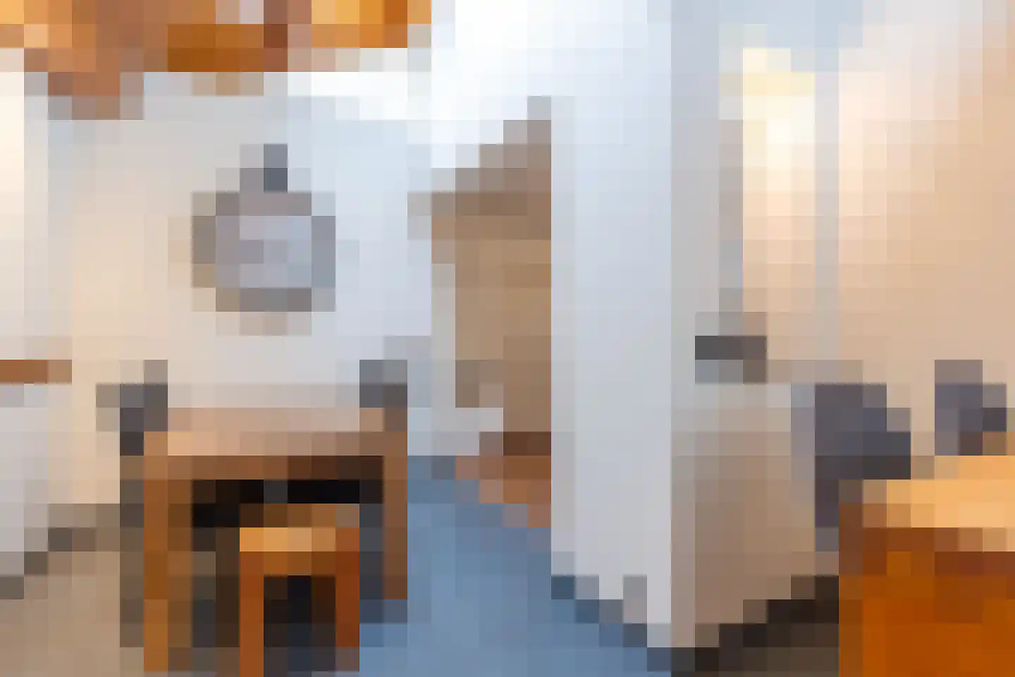 Brugweg 9 Echt thumbnail 18