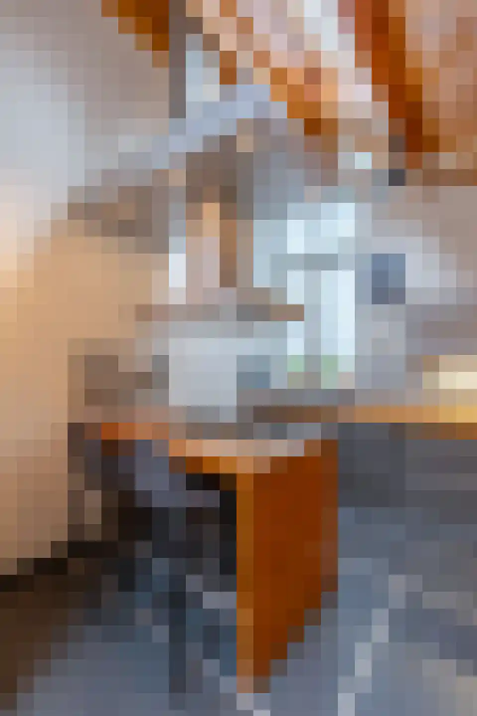 Brugweg 9 Echt thumbnail 23