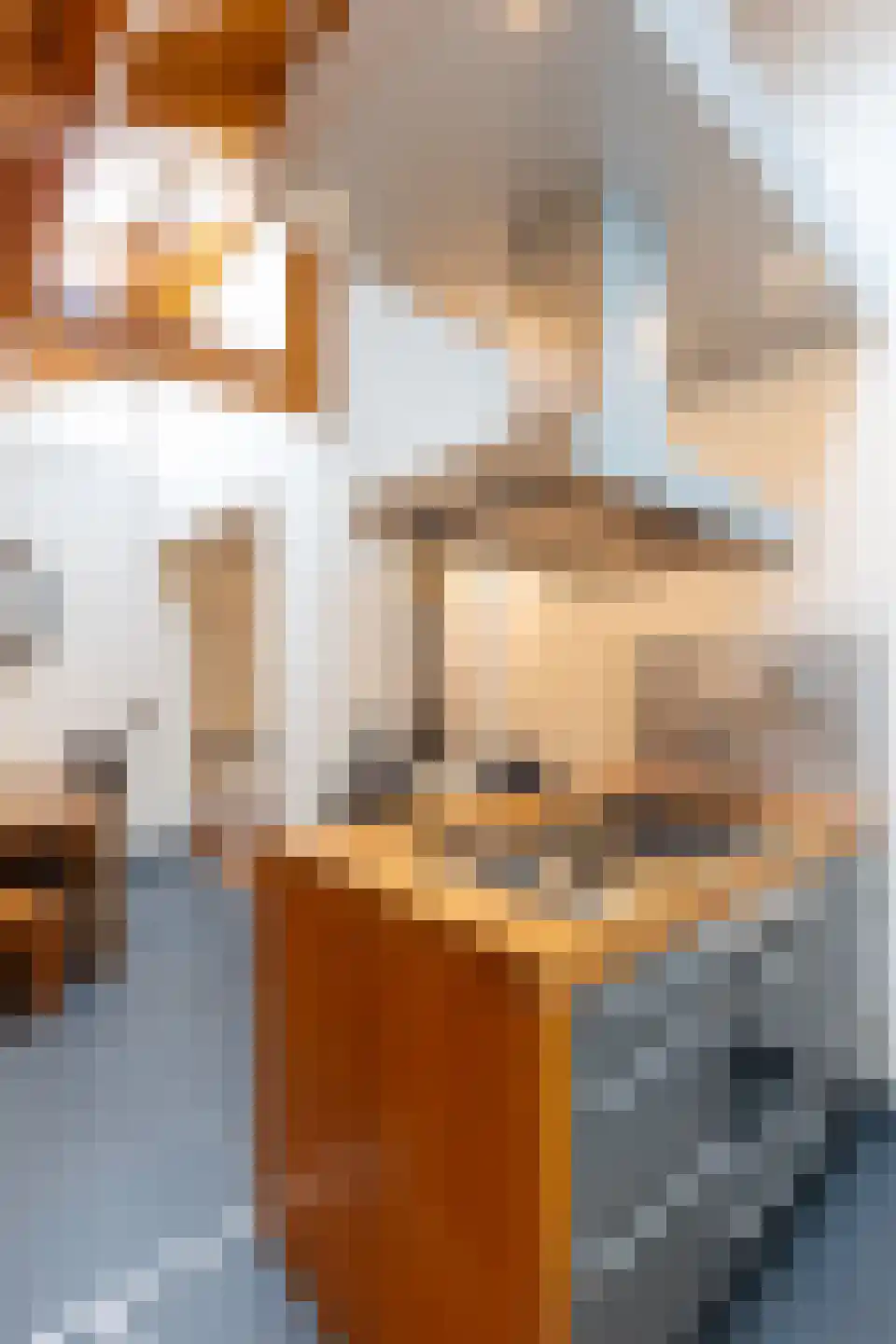 Brugweg 9 Echt thumbnail 24