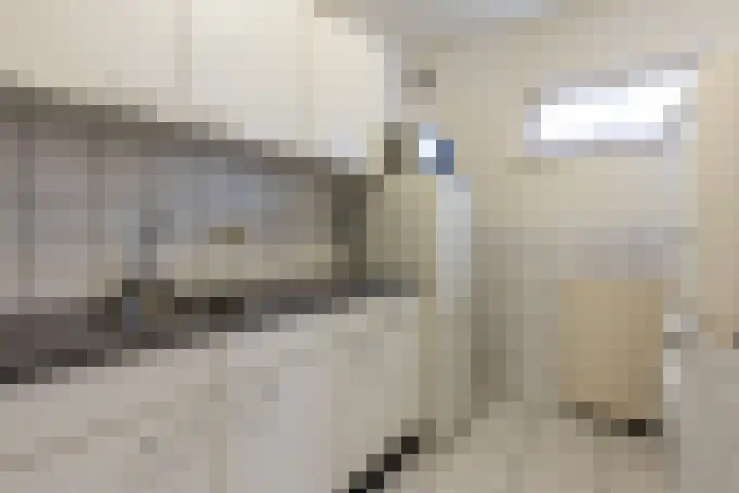 Brugweg 9 Echt thumbnail 35