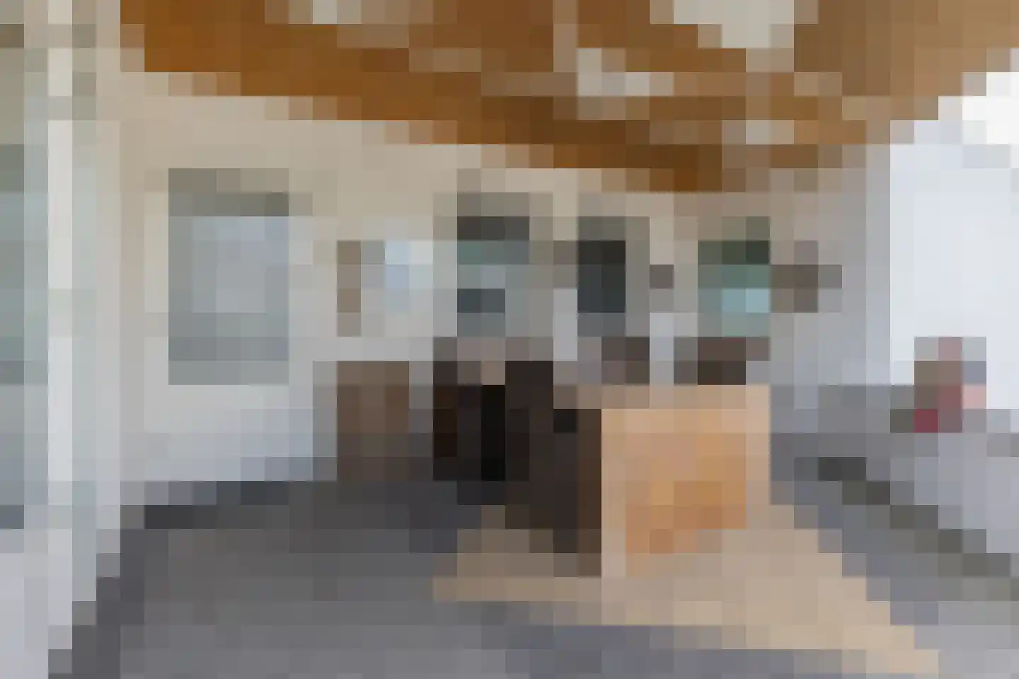 Brugweg 9 Echt thumbnail 37