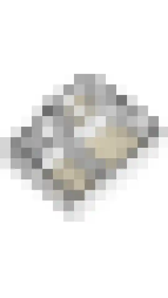 Brugweg 9 Echt thumbnail 66
