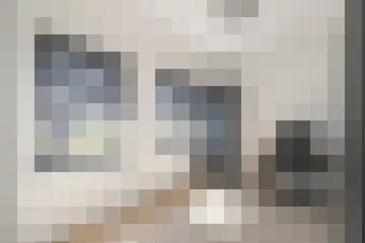 Brugweg 95 Echt thumbnail 12