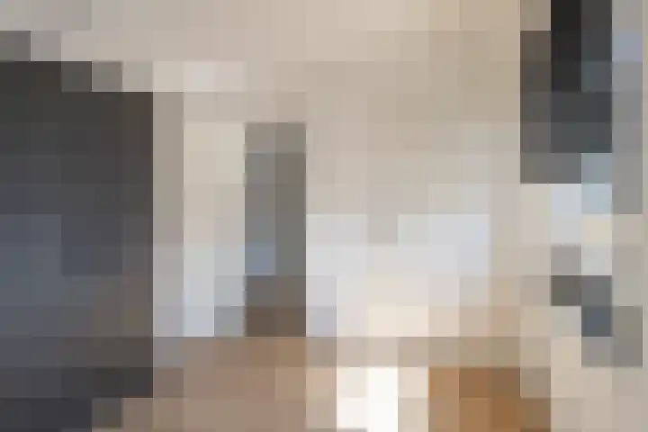 Brugweg 95 Echt thumbnail 13
