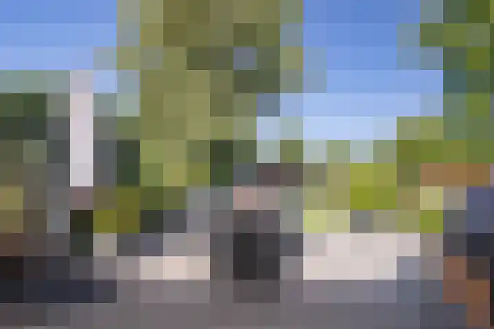 Brugweg 95 Echt thumbnail 19