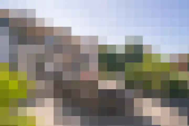 Brugweg 95 Echt thumbnail 20