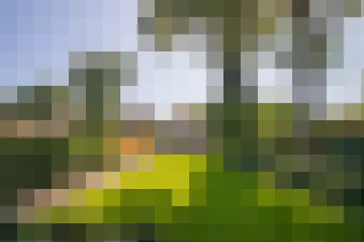 Brugweg 95 Echt thumbnail 22