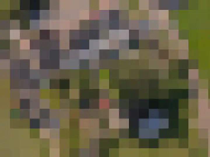 Brugweg 95 Echt thumbnail 23
