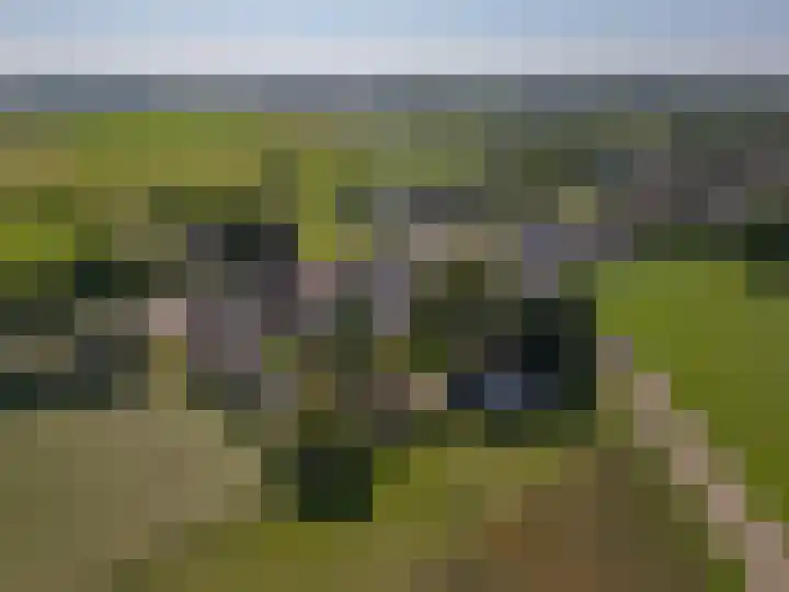 Brugweg 95 Echt thumbnail 24