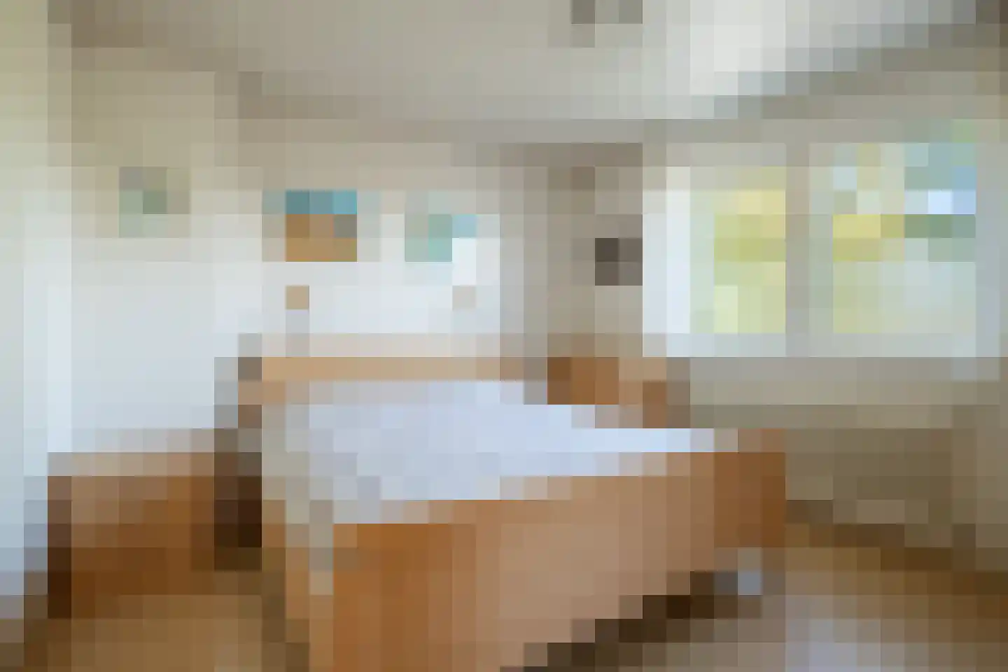 Brugweg 97 Echt thumbnail 13
