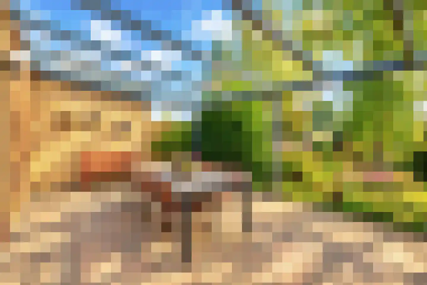 Brugweg 97 Echt thumbnail 19