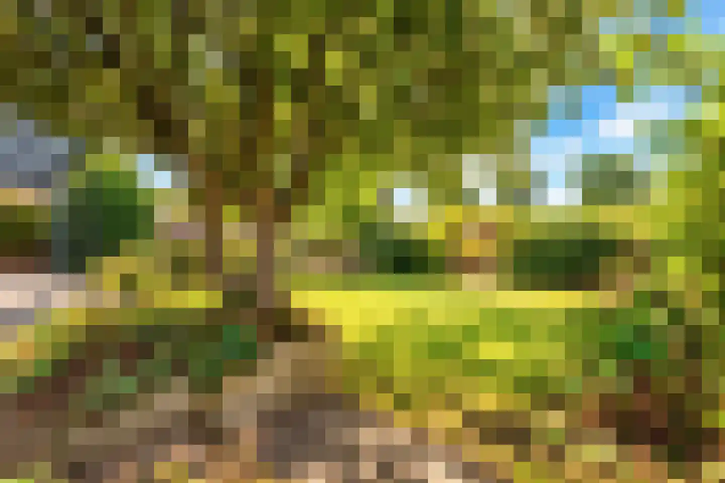 Brugweg 97 Echt thumbnail 23
