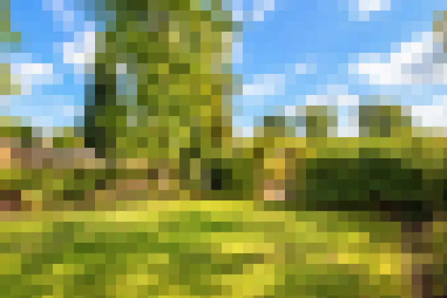 Brugweg 97 Echt thumbnail 24