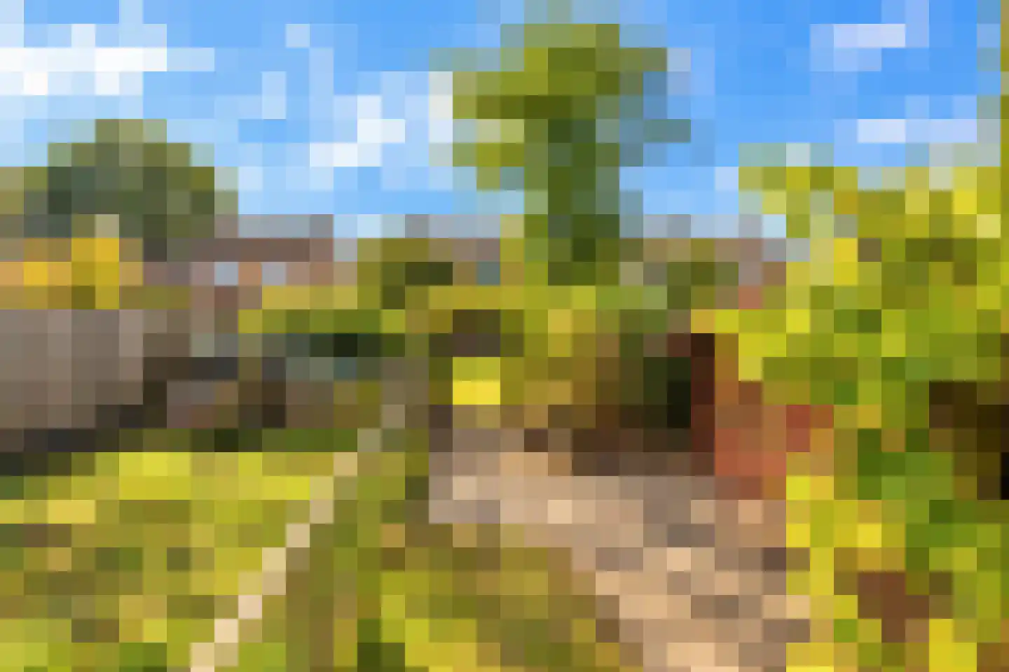 Brugweg 97 Echt thumbnail 25