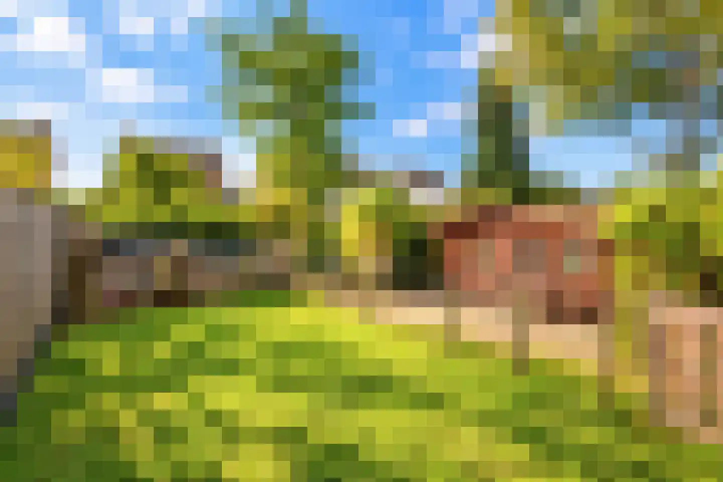 Brugweg 97 Echt thumbnail 26