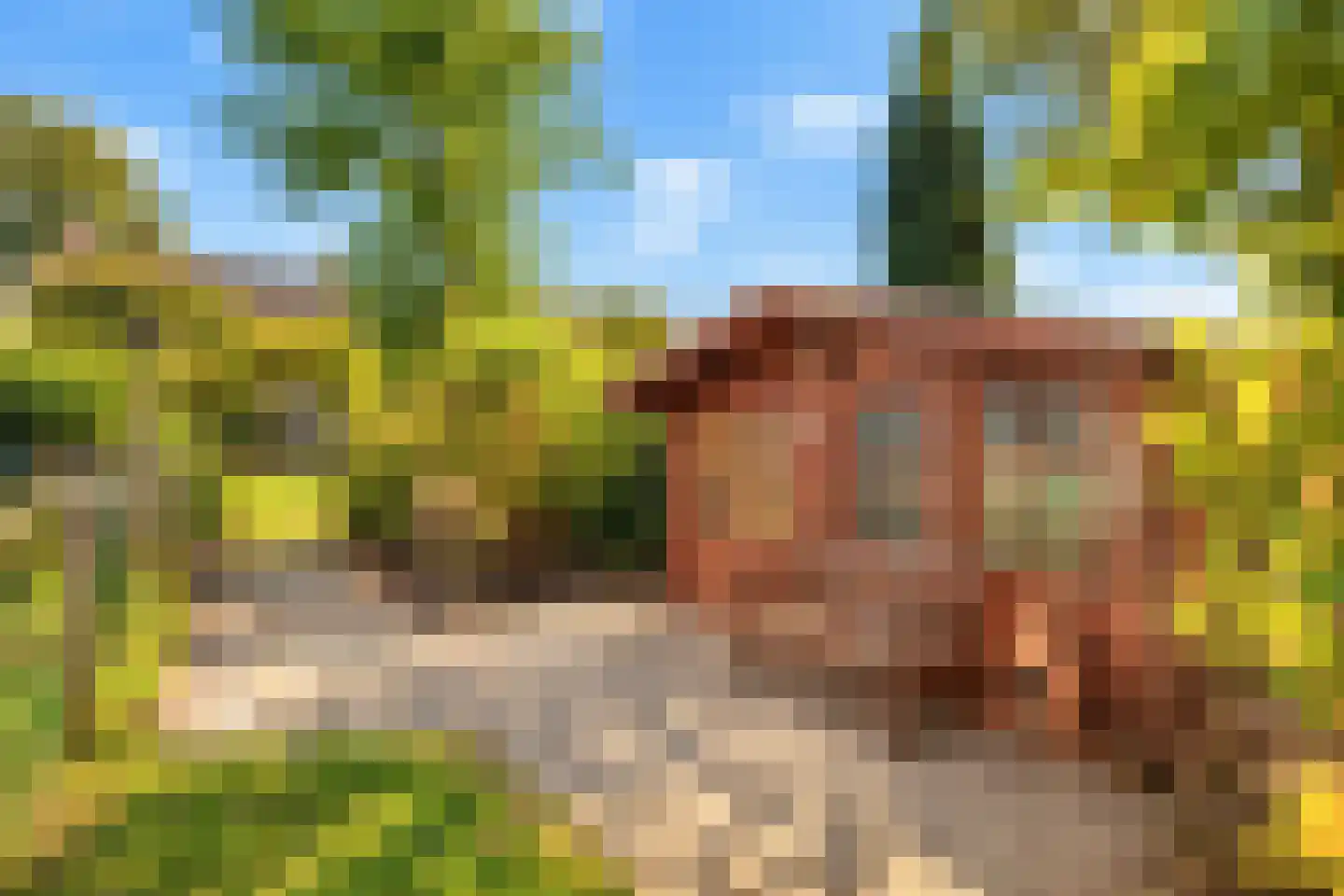 Brugweg 97 Echt thumbnail 27
