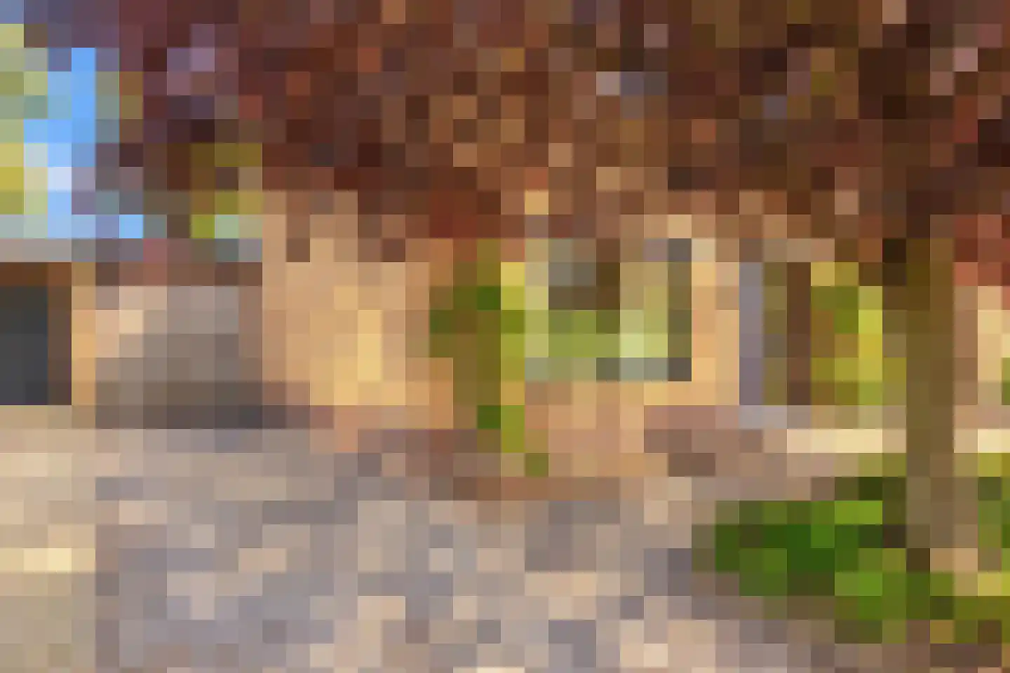 Brugweg 97 Echt thumbnail 29