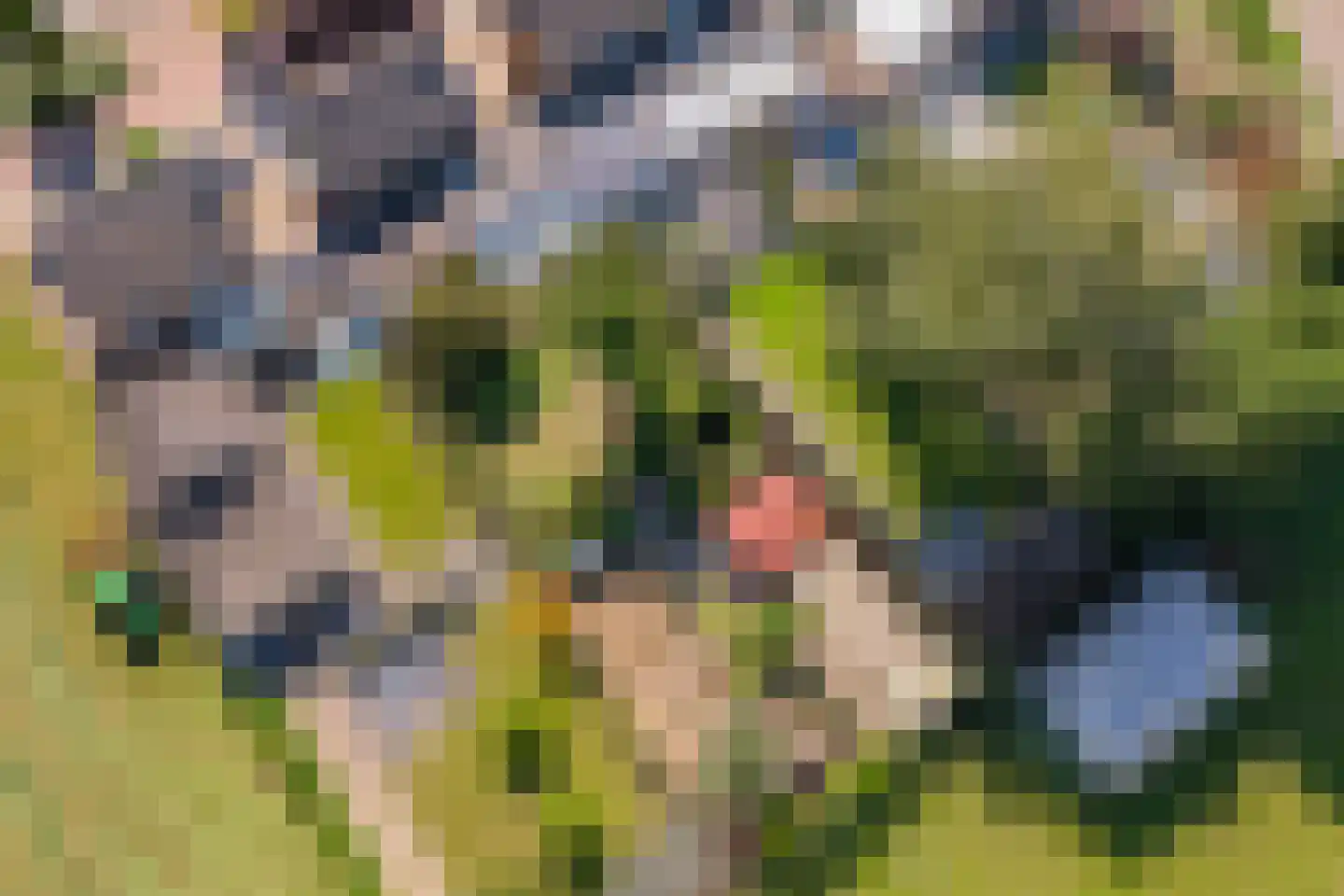 Brugweg 97 Echt thumbnail 31
