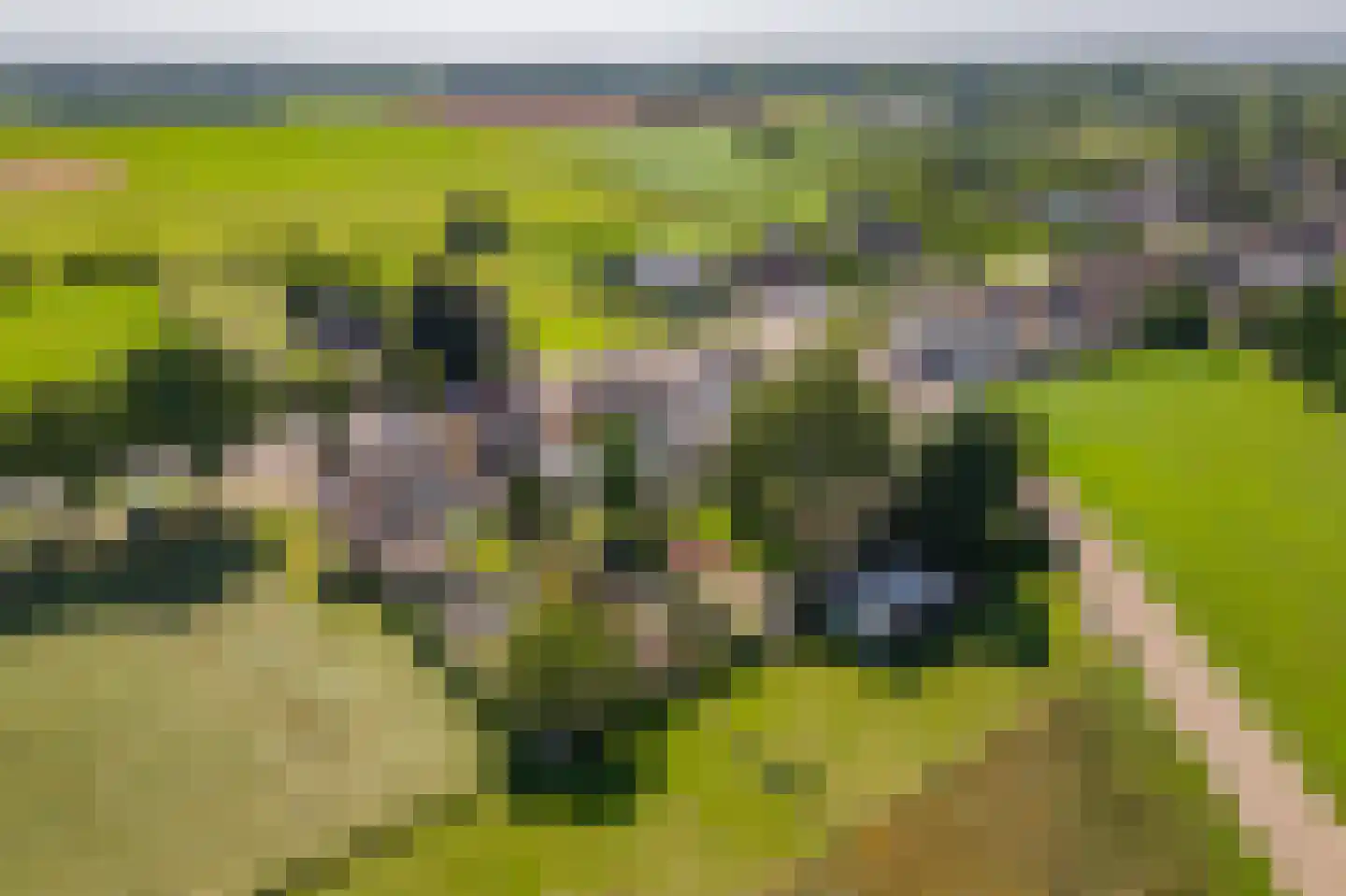 Brugweg 97 Echt thumbnail 32