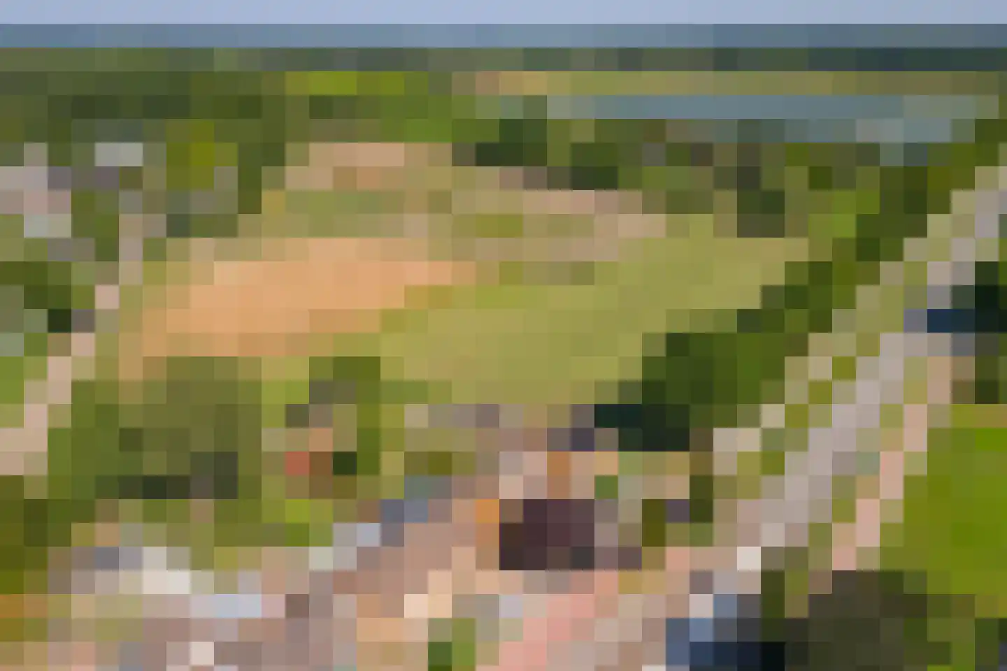 Brugweg 97 Echt thumbnail 33