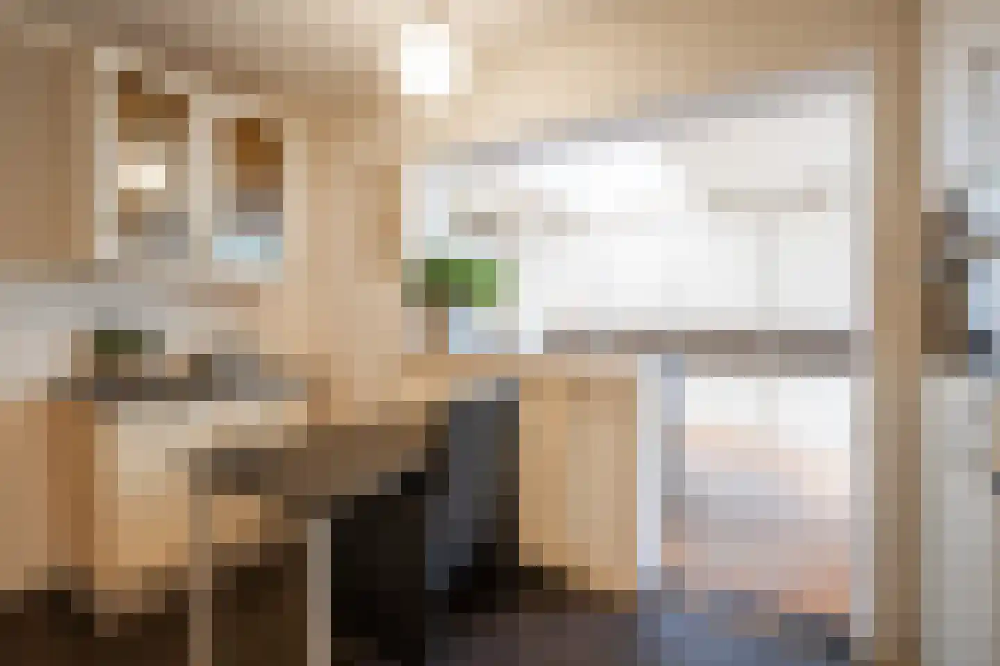 Brugweg 97 Echt thumbnail 9