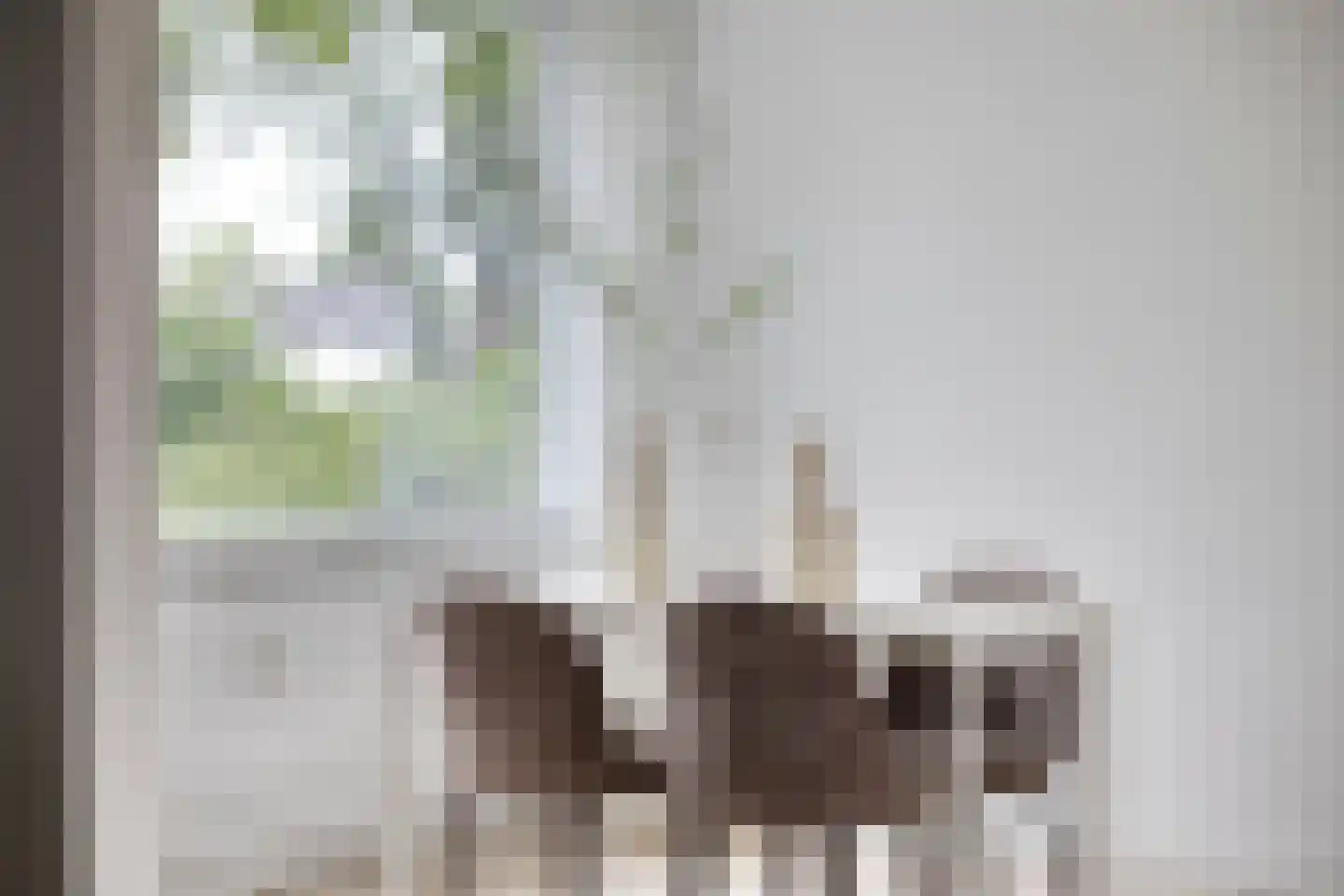 Brugweg 97 Velp thumbnail 14