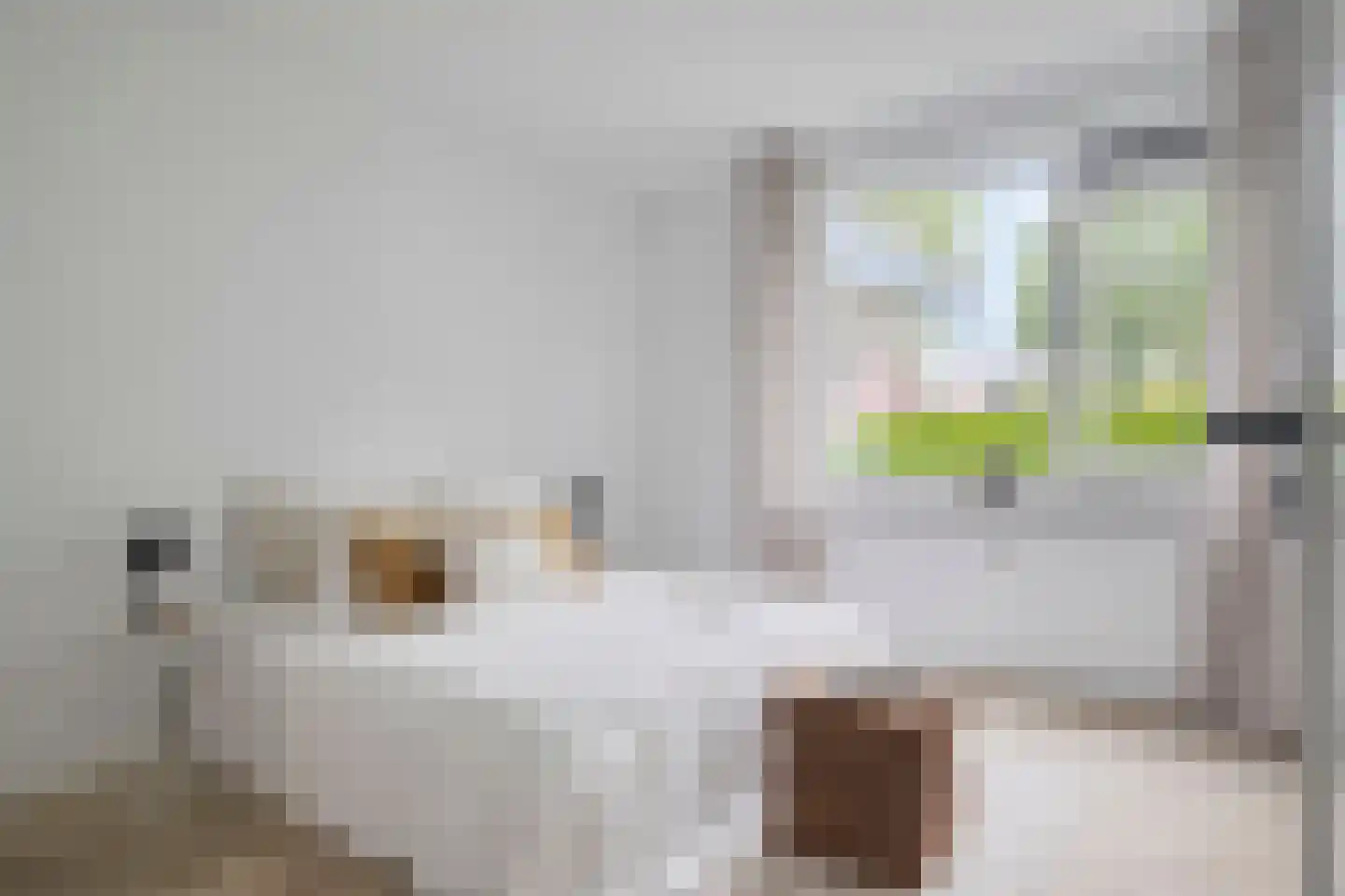 Brugweg 97 Velp thumbnail 21