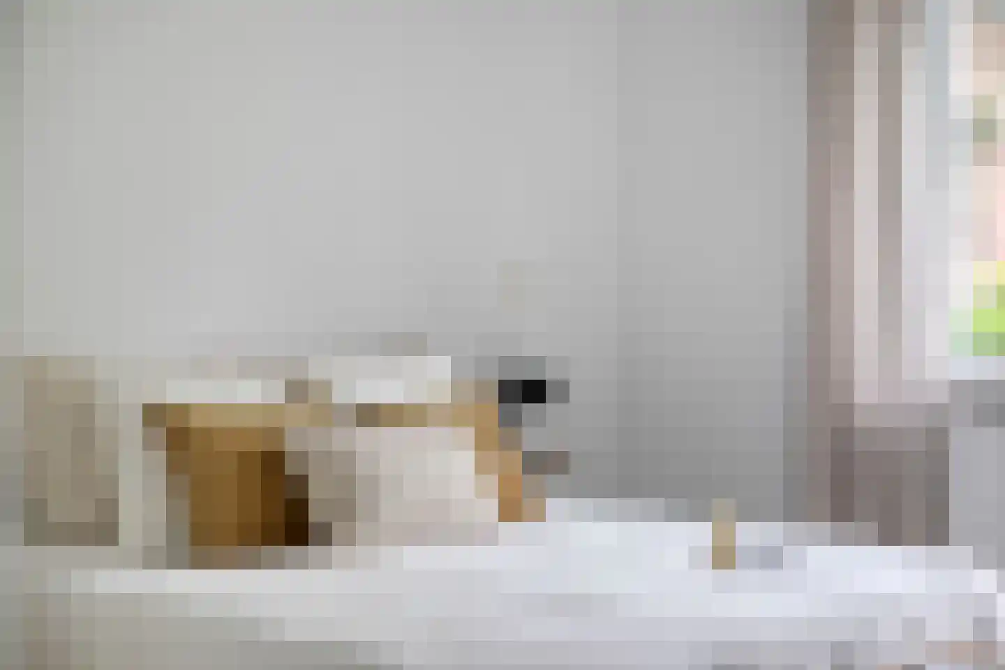 Brugweg 97 Velp thumbnail 22