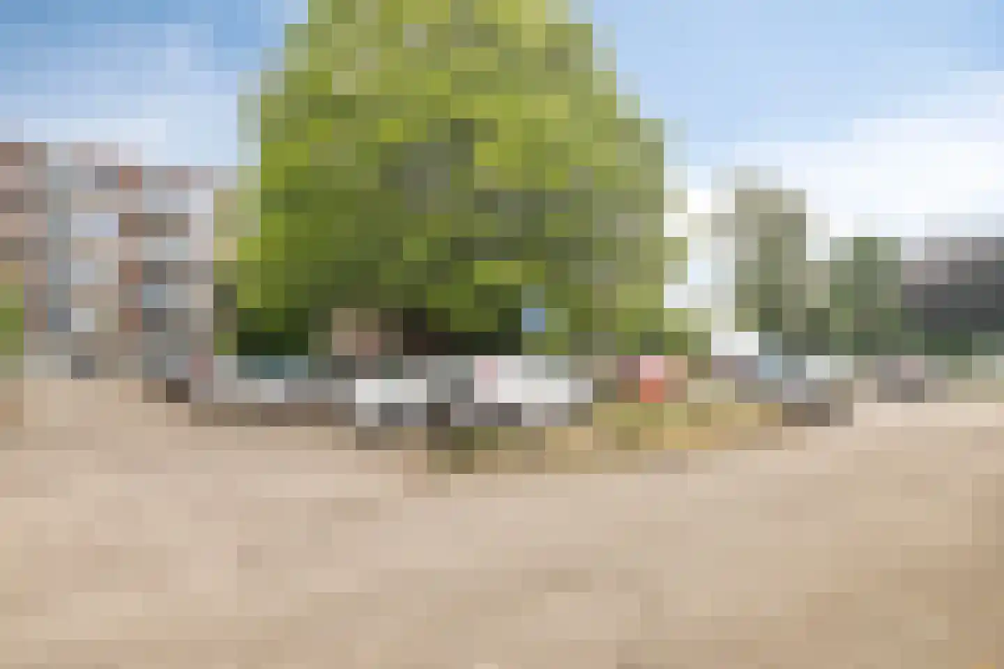 Brugweg 97 Velp thumbnail 31