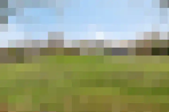 Bruhezerweg 30 Helmond thumbnail 74