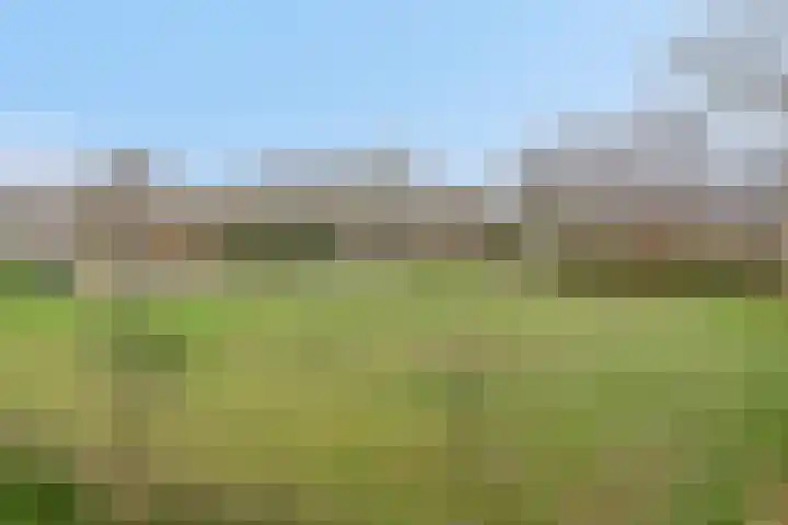 Bruhezerweg 30 Helmond thumbnail 76