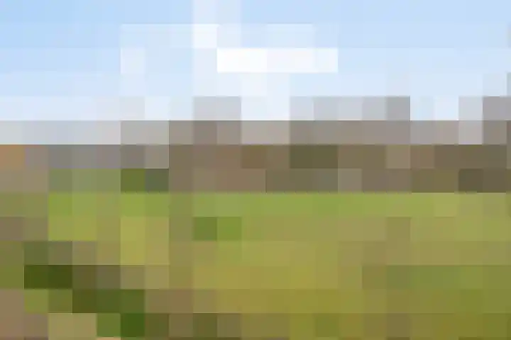 Bruhezerweg 30 Helmond thumbnail 77