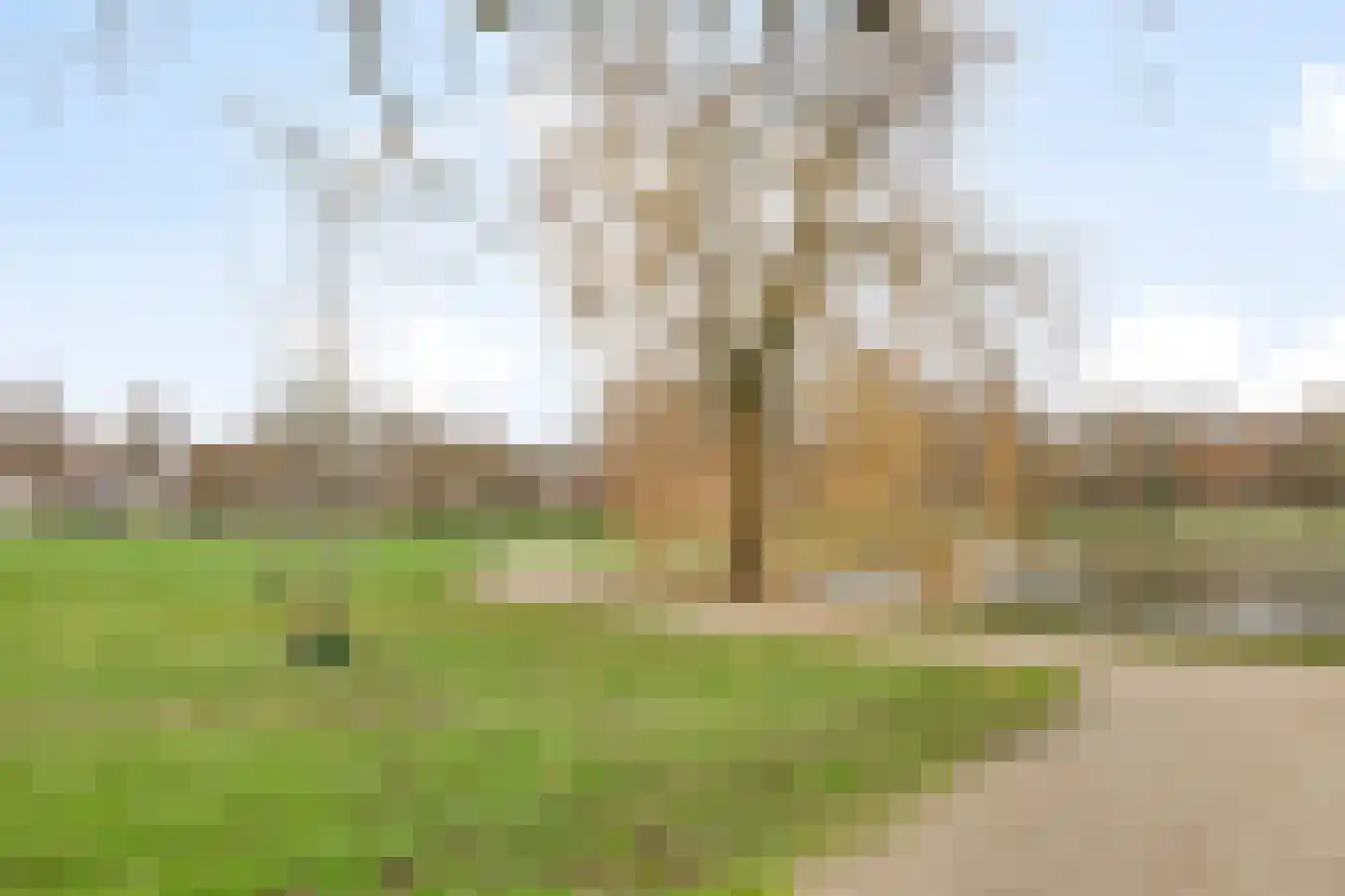 Bruhezerweg 30 Helmond thumbnail 83