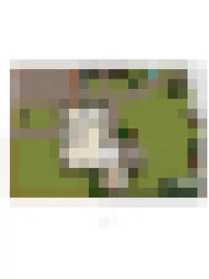Bruhezerweg 30 Helmond thumbnail 85