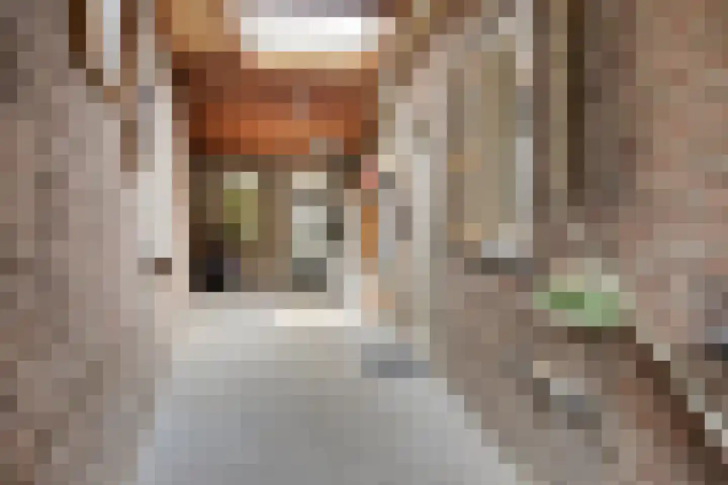 Bruhezerweg 5 Helmond thumbnail 30