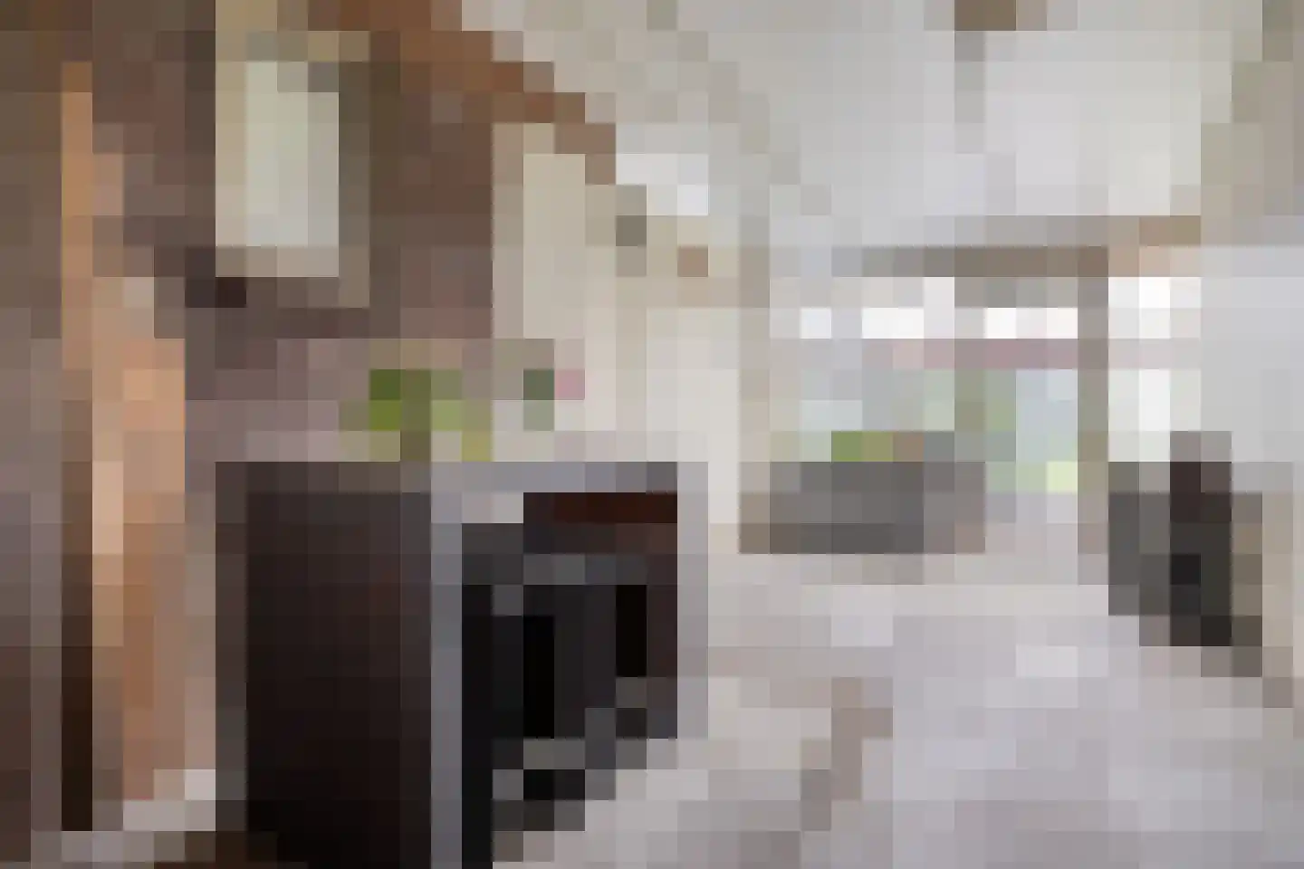 Bruhezerweg 5 Helmond thumbnail 31