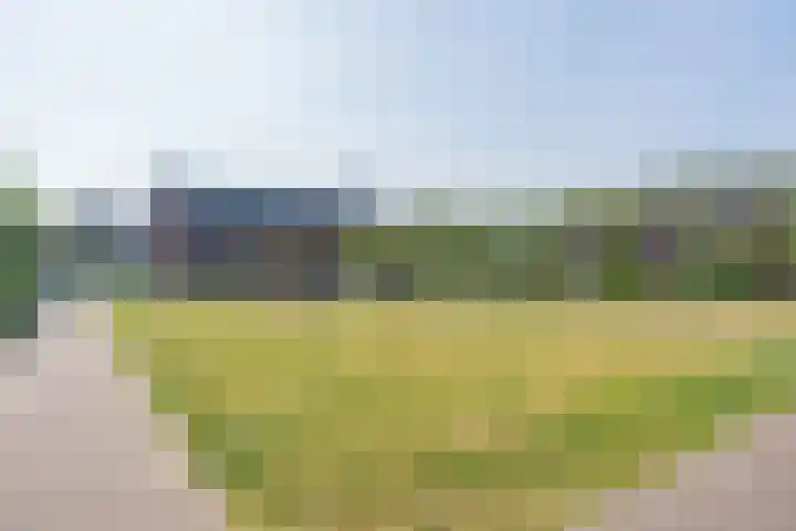 Bruhezestraat 4 Baarle-Nassau thumbnail 34