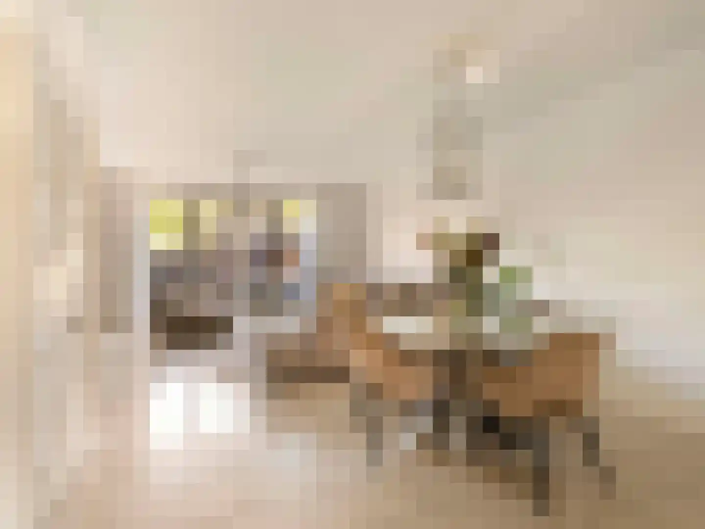 Bruidsbloemlaan 39 Vleuten thumbnail 14