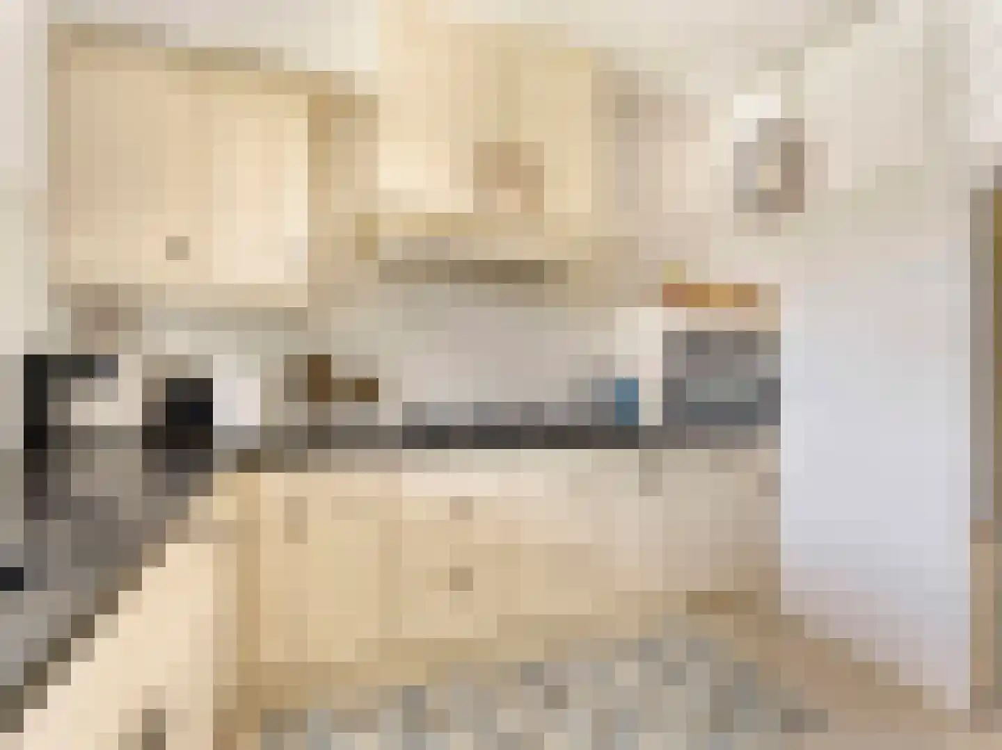 Bruidsbloemlaan 39 Vleuten thumbnail 15