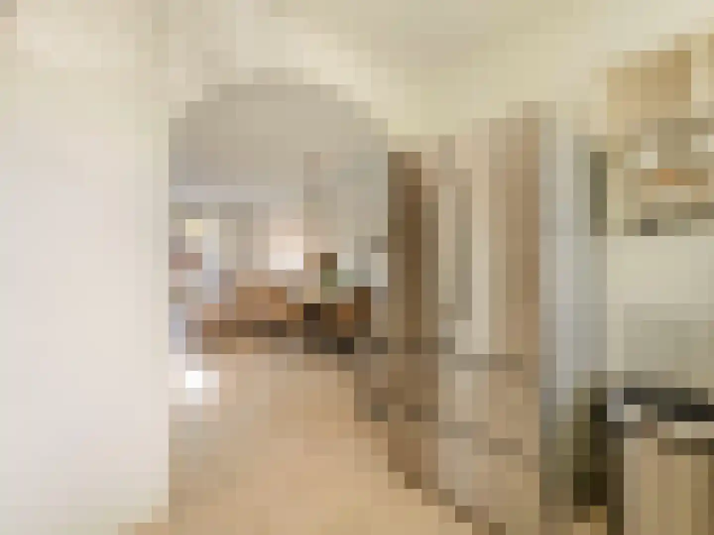 Bruidsbloemlaan 39 Vleuten thumbnail 16