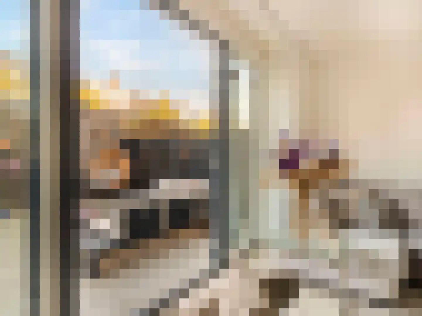 Bruidsbloemlaan 39 Vleuten thumbnail 17