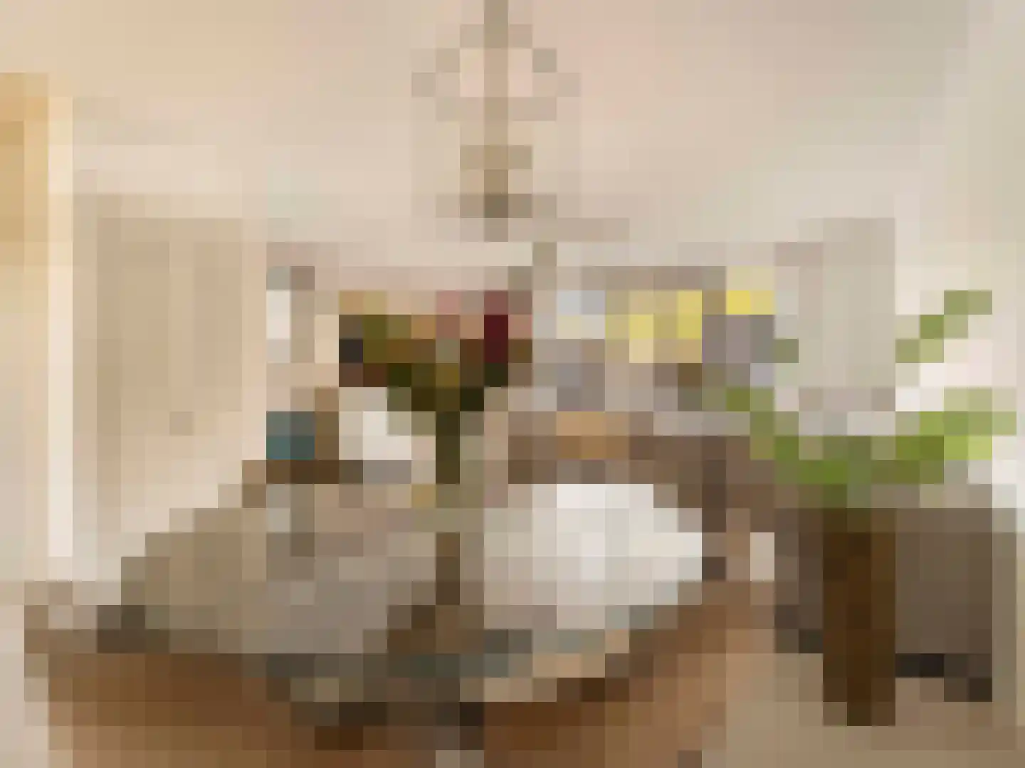 Bruidsbloemlaan 39 Vleuten thumbnail 18