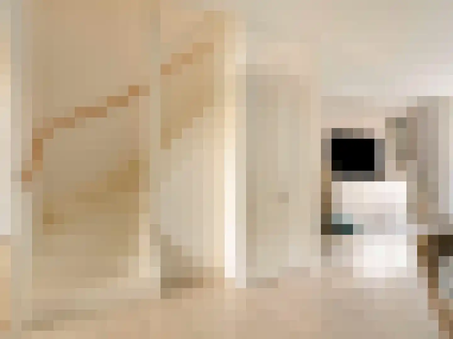 Bruidsbloemlaan 39 Vleuten thumbnail 20