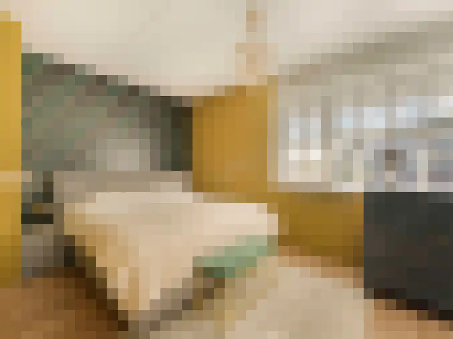 Bruidsbloemlaan 39 Vleuten thumbnail 22