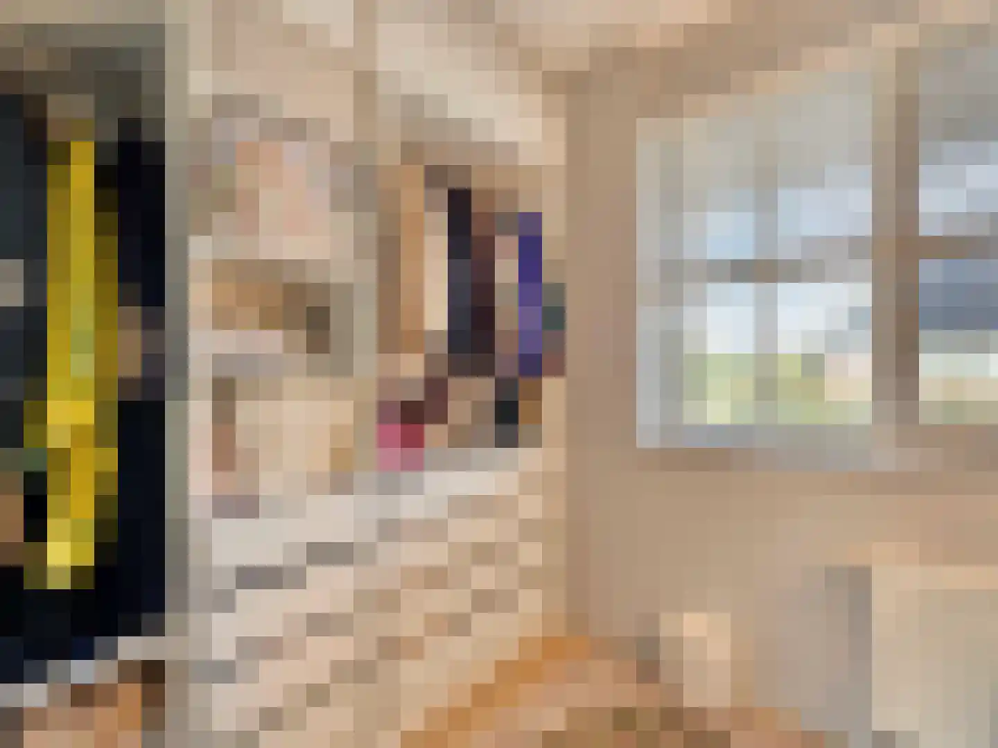 Bruidsbloemlaan 39 Vleuten thumbnail 26