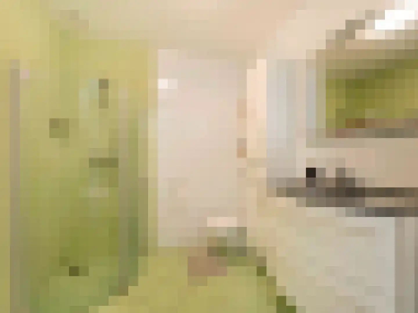 Bruidsbloemlaan 39 Vleuten thumbnail 30