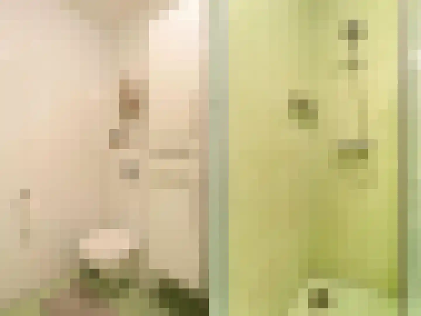 Bruidsbloemlaan 39 Vleuten thumbnail 31