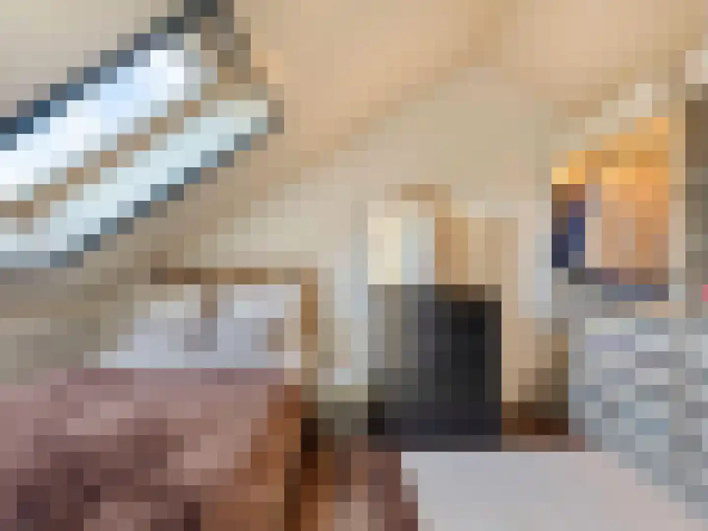 Bruidsbloemlaan 39 Vleuten thumbnail 34