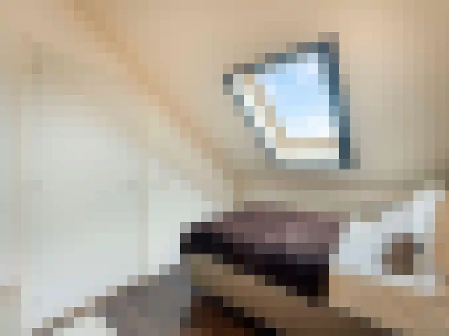 Bruidsbloemlaan 39 Vleuten thumbnail 36
