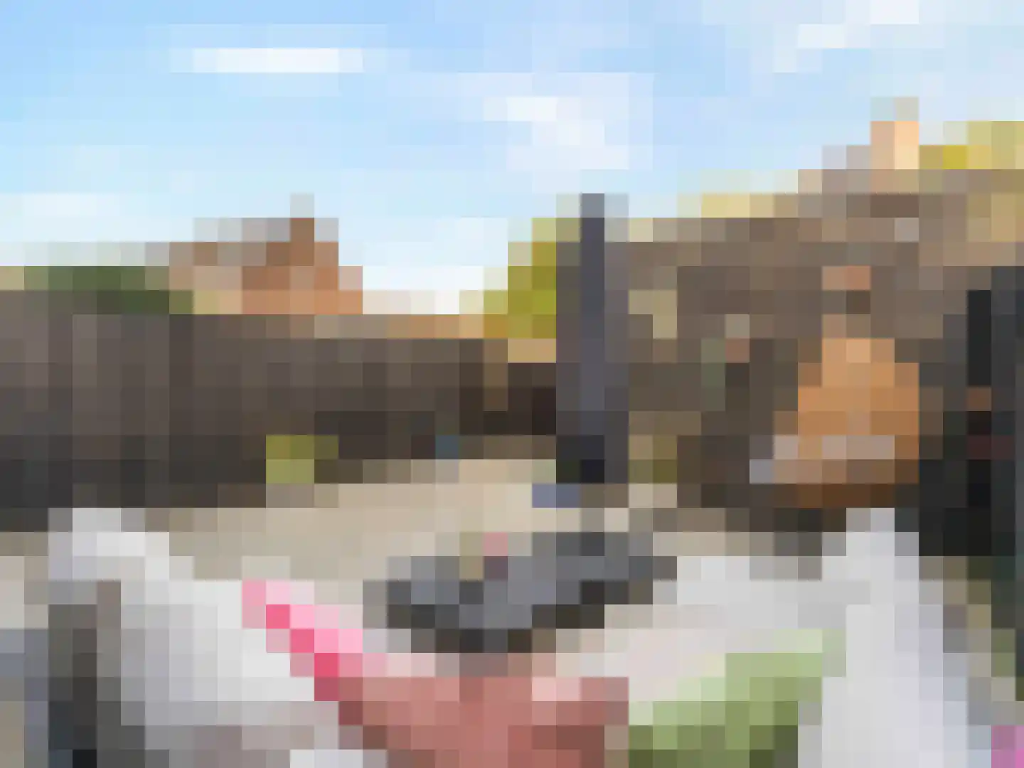 Bruidsbloemlaan 39 Vleuten thumbnail 37